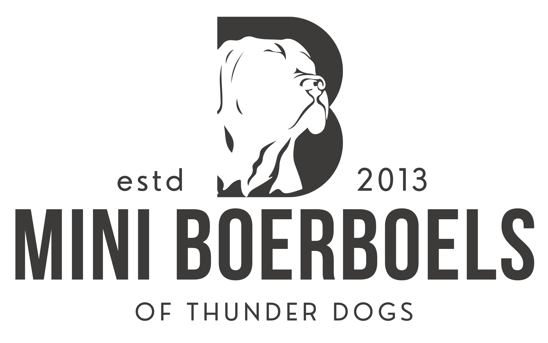 Mini Boerboels